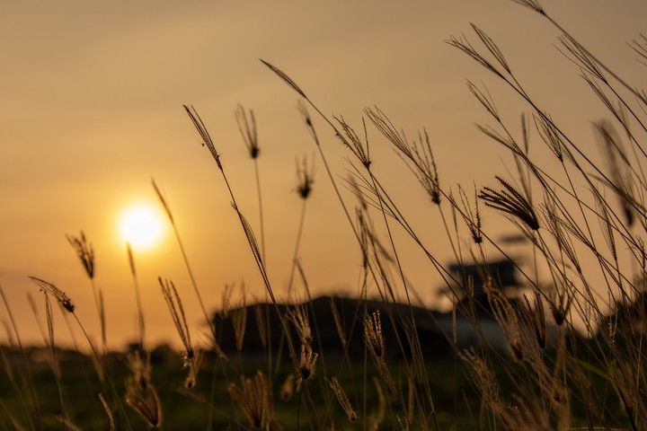 country side
