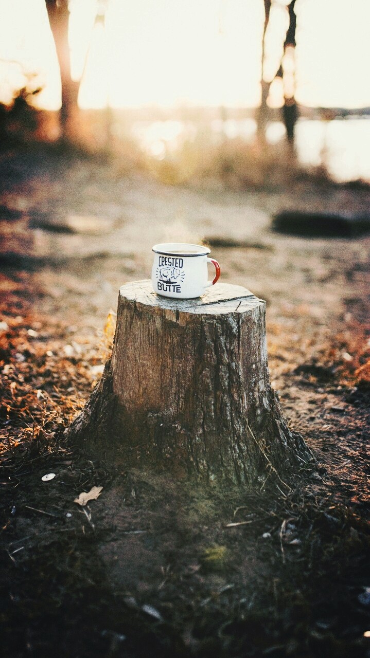 a cup of coffee