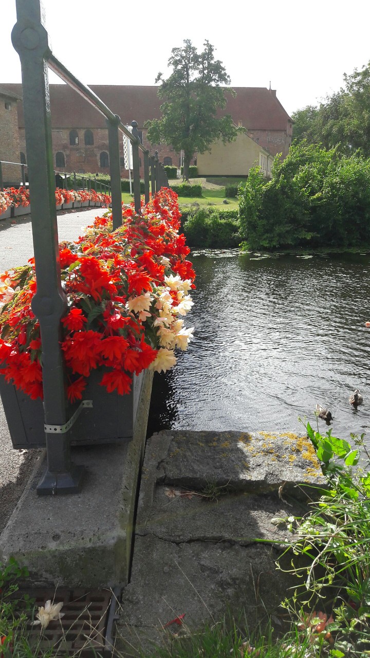 bridge at nyborg
