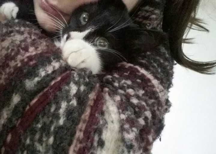 "feeeeeed me" face