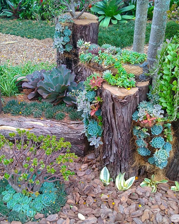 Jardim