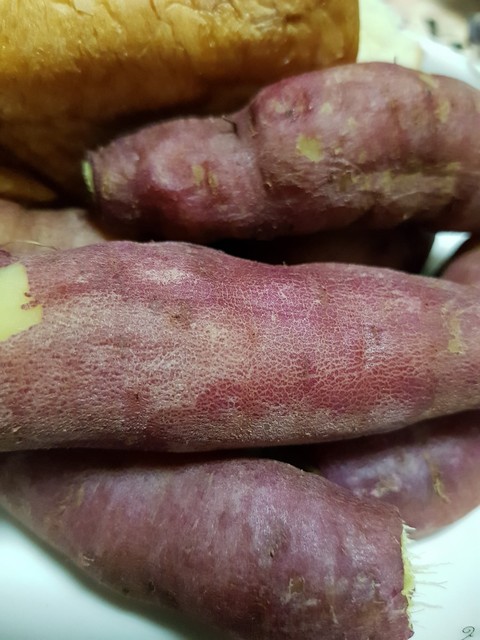 обои longaniza, Sausage