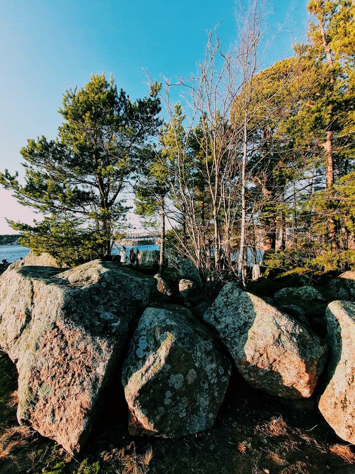 nature