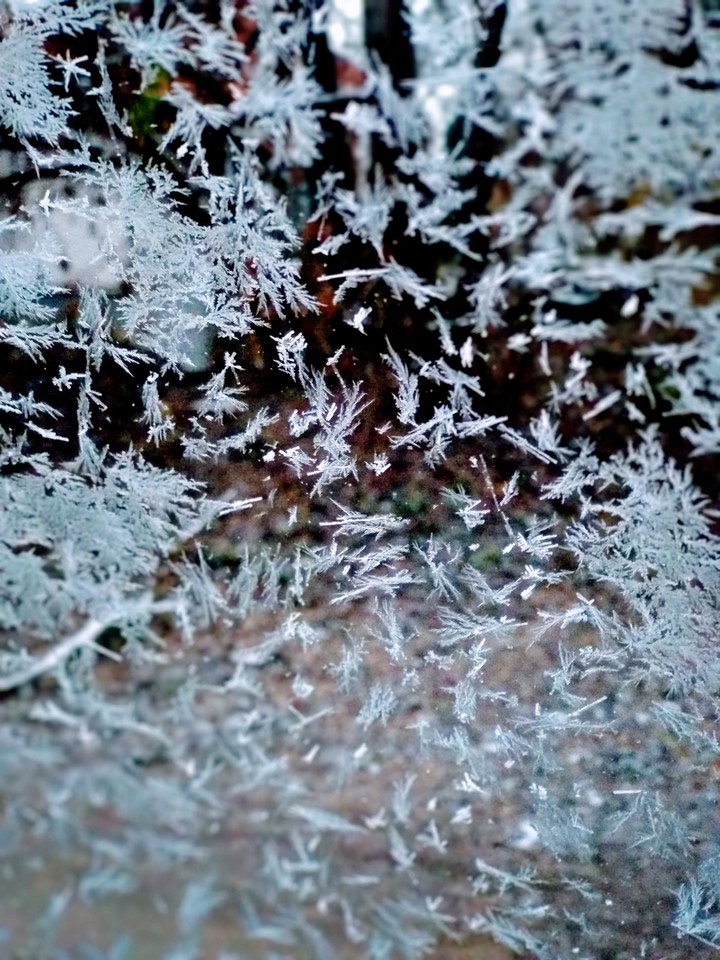Winter Is Coming