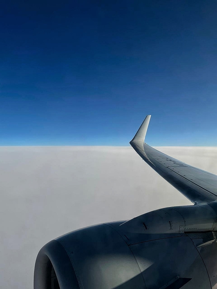 fly