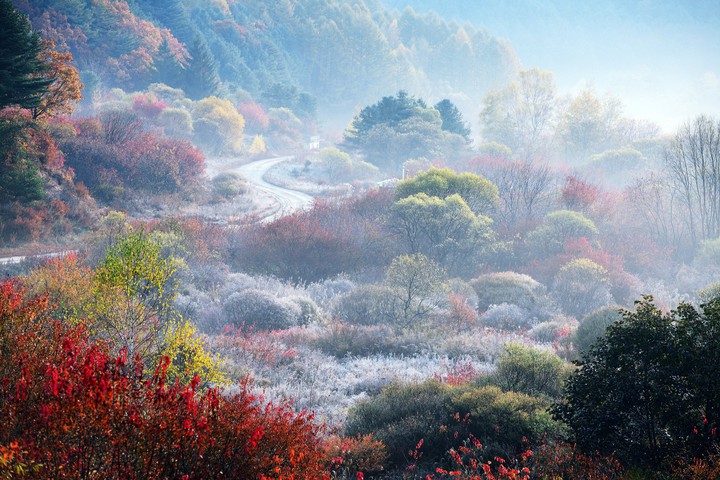 만추