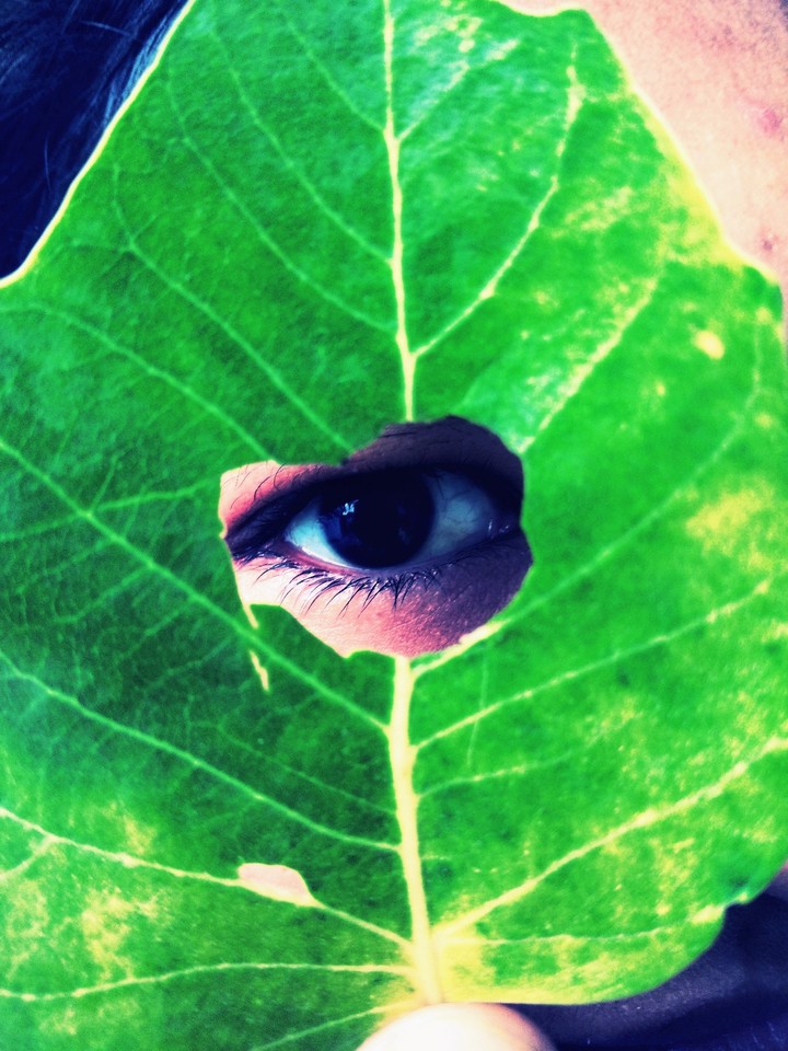 . eye