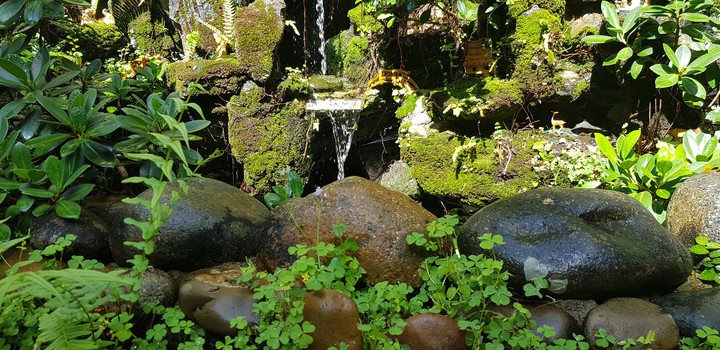 Sân vườn