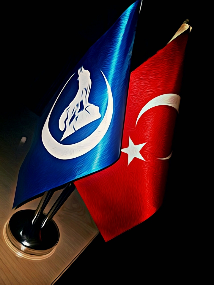 Türkgücü