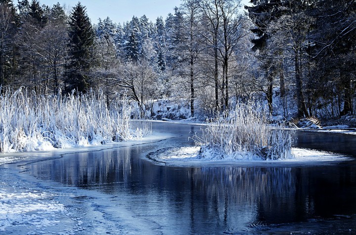 Winter