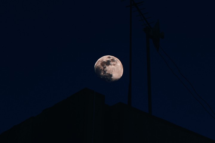 night