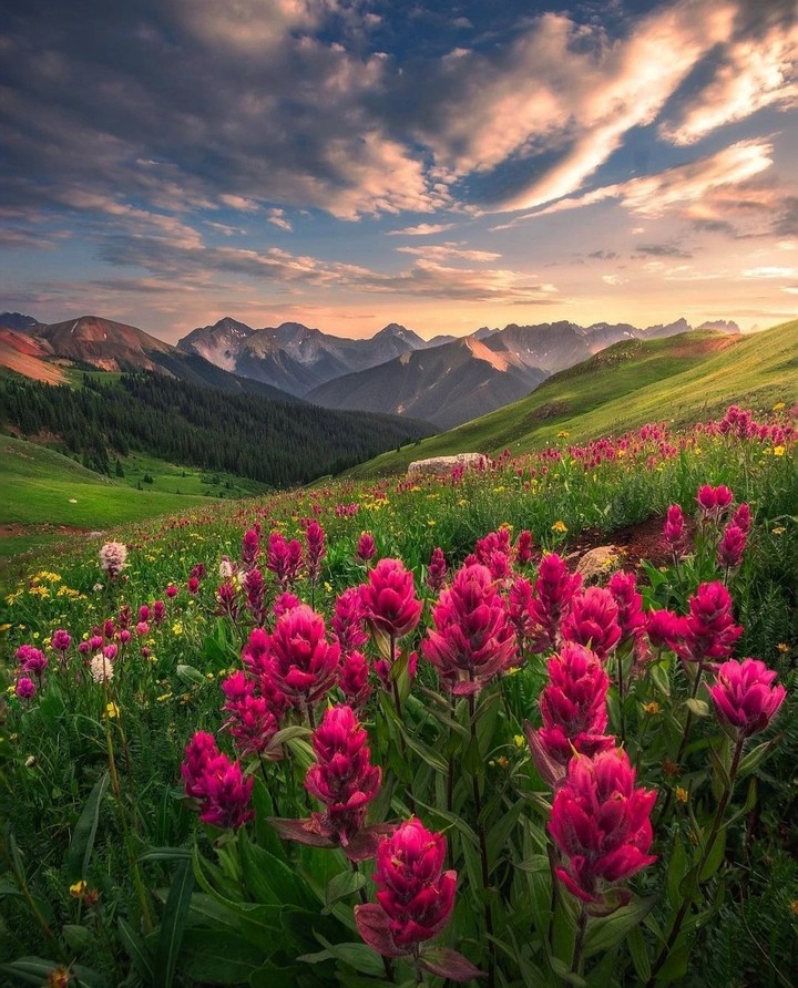 Mountain valley
