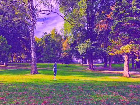 park