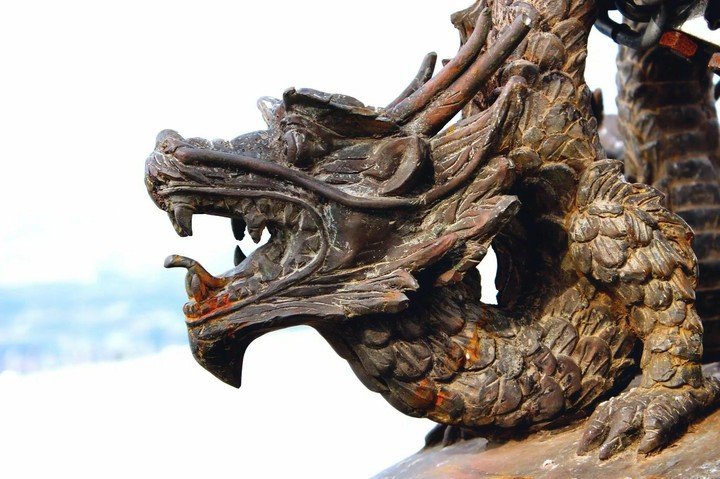 dragon