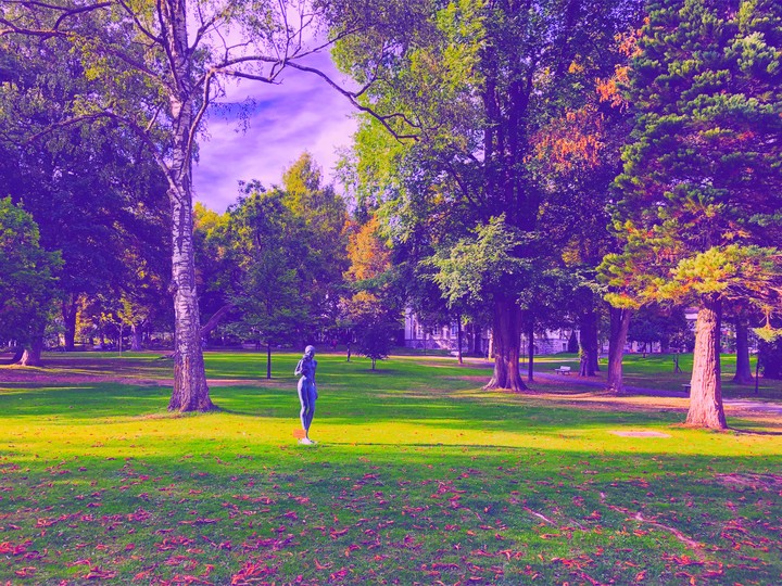 park