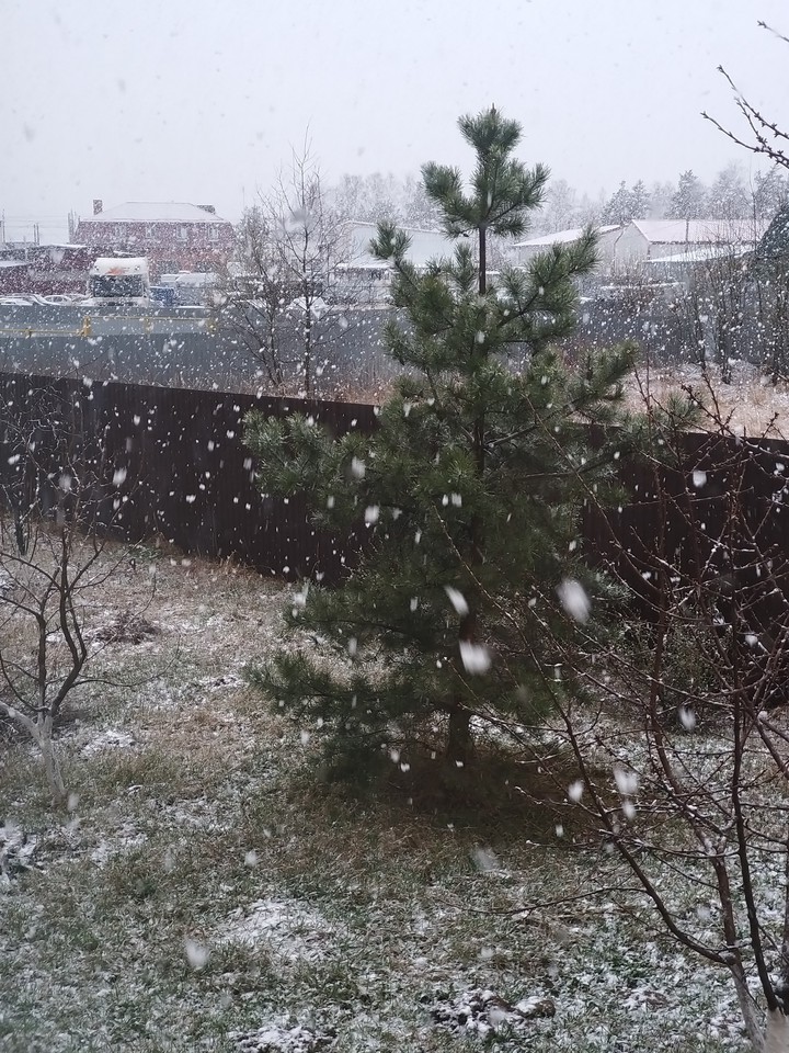 Весна) в подмосковье...