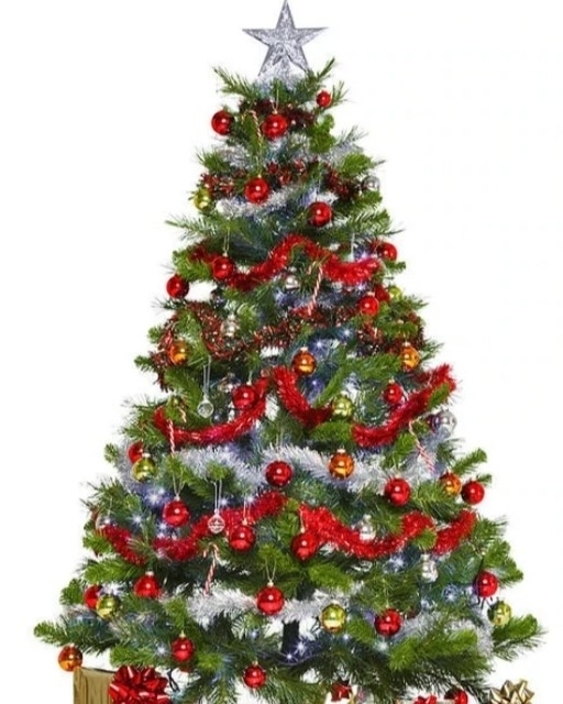 Merry Christmas for all.