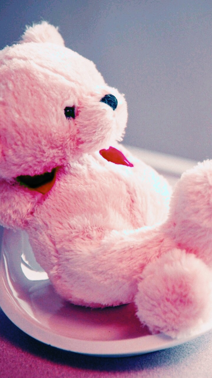 heart bear