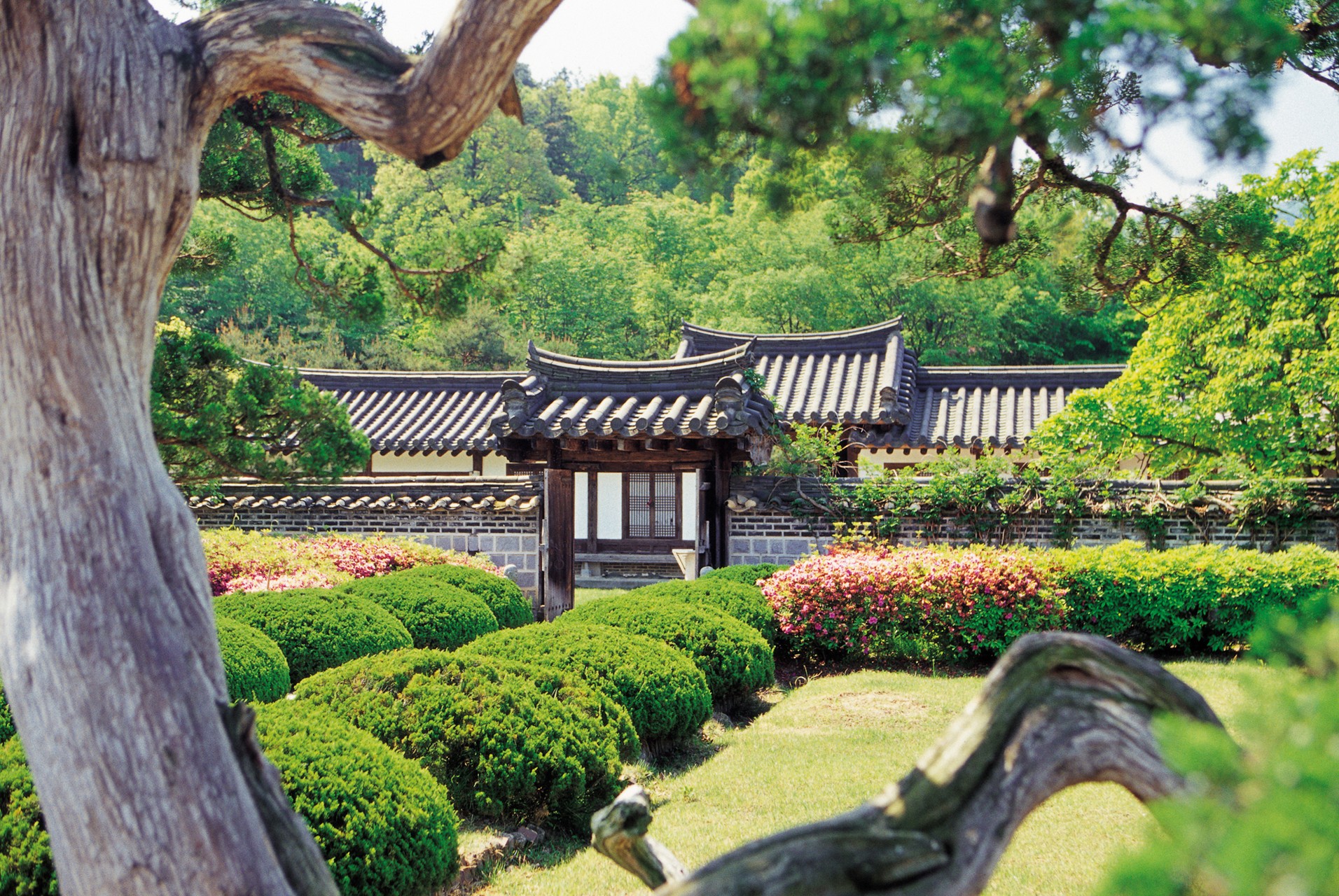 Korean Traditional House