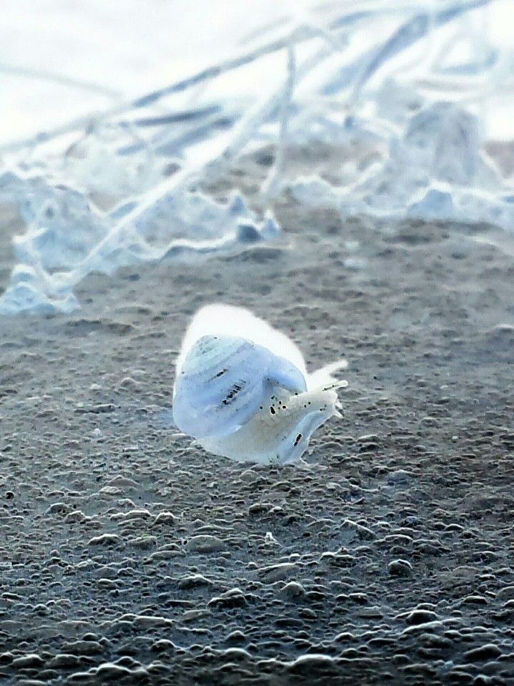 Out for a stroll