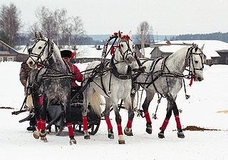 aaand another sleigh