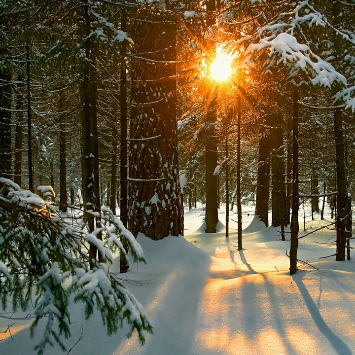 snow