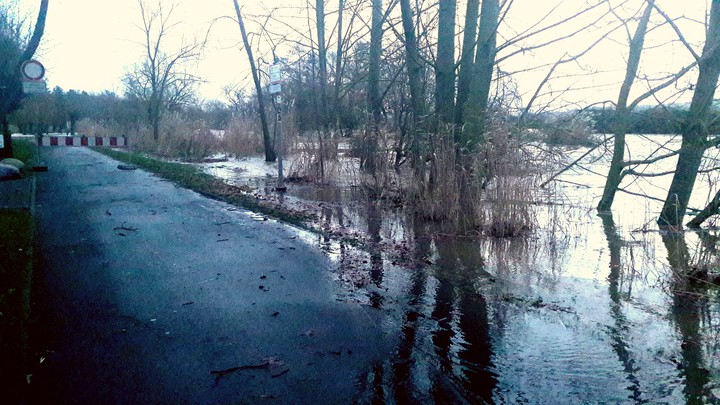 Flood