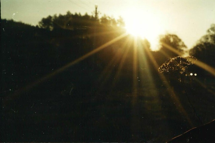 Naturw