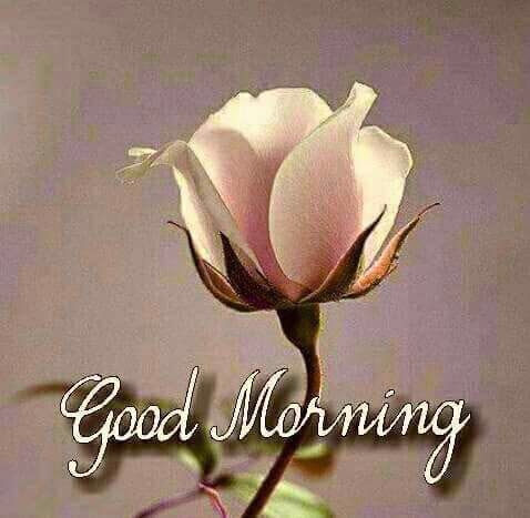 Good morning everyone