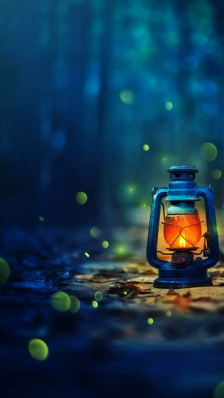 Love lights