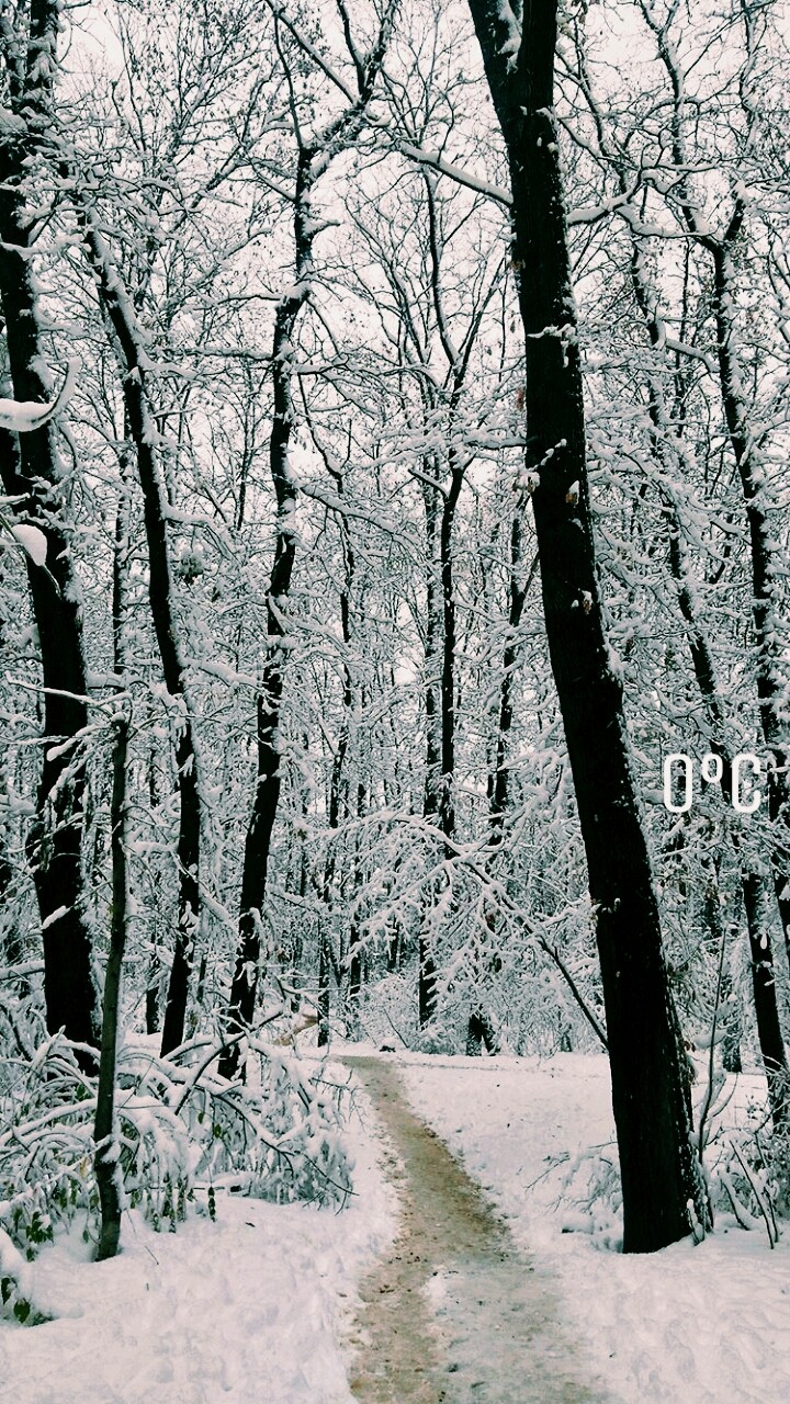 following the path 