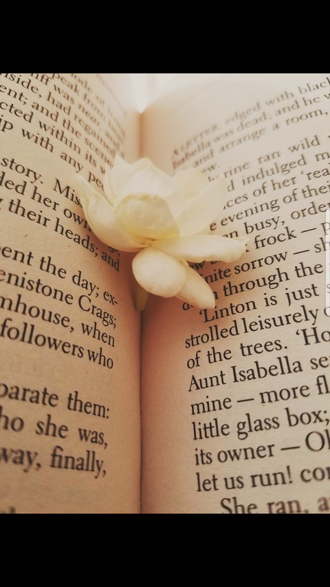 Wuthering Heights