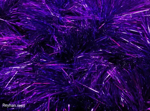 purple Hintergrundbilder