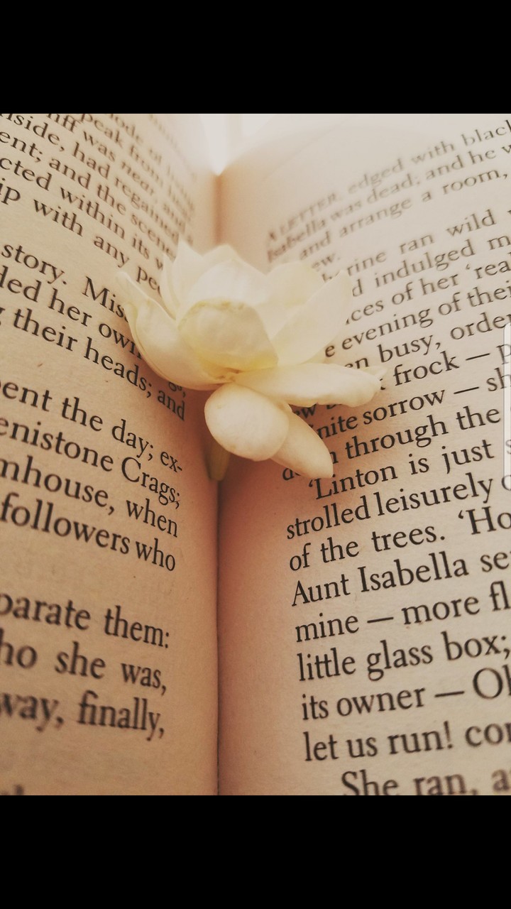 Wuthering Heights