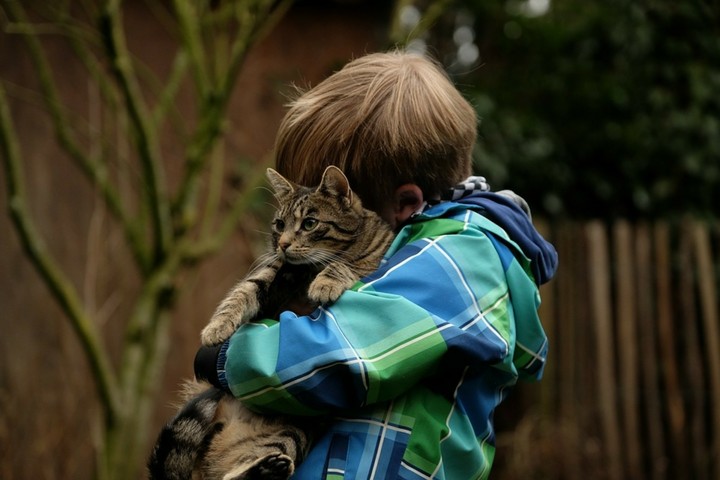 Friendship