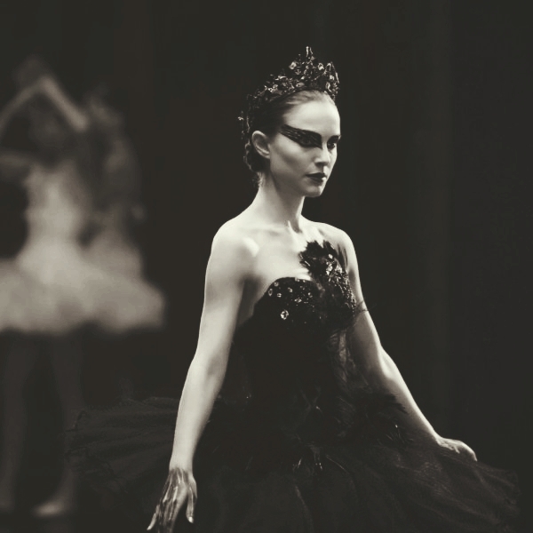 black swan