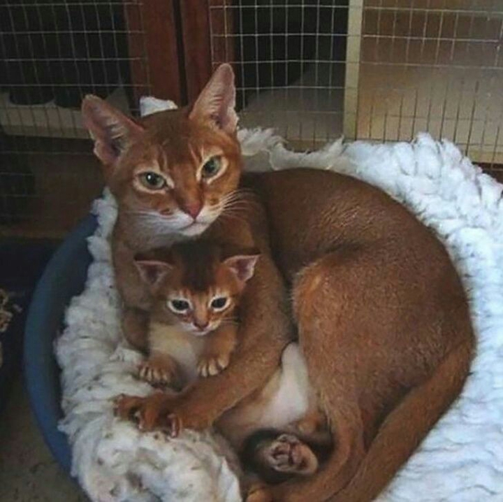 ❤❤❤