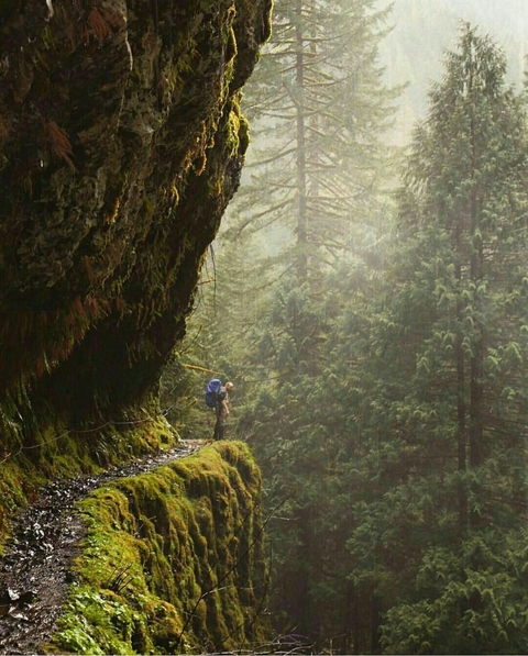hiking
