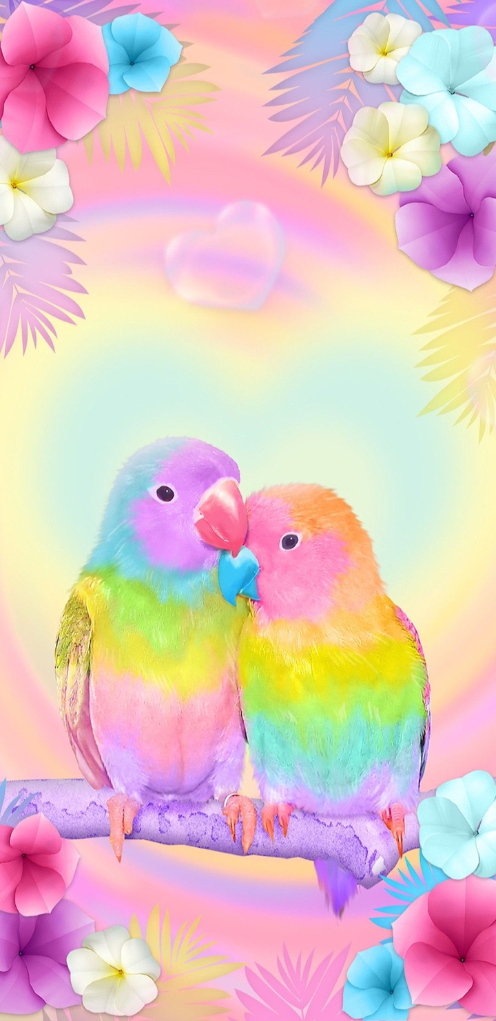 Rainbow Lovebird