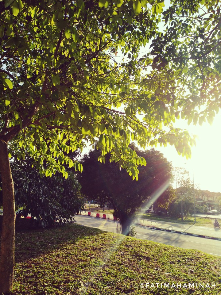 beauty of nature