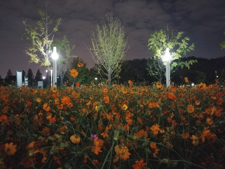 worldcup park,seoul