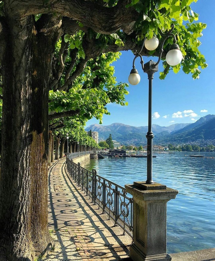 #571. Switzerland...