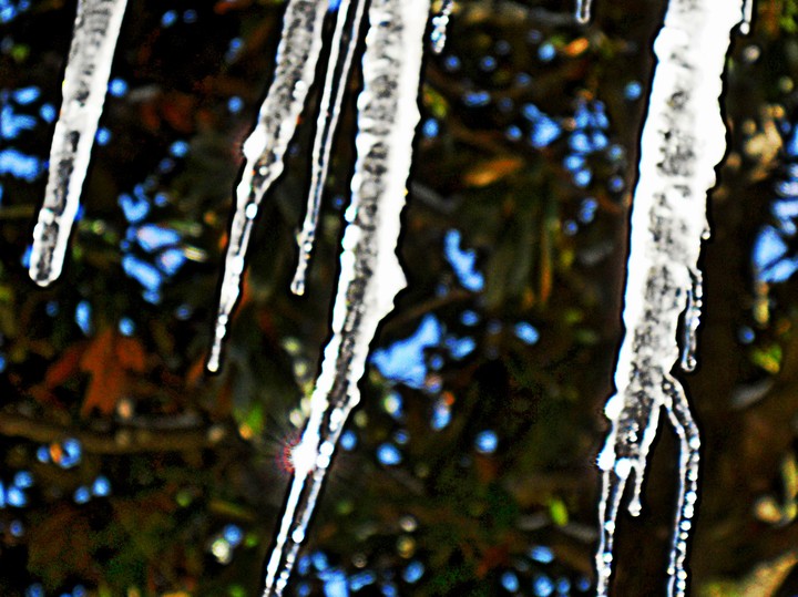 Mother Nature the Artist