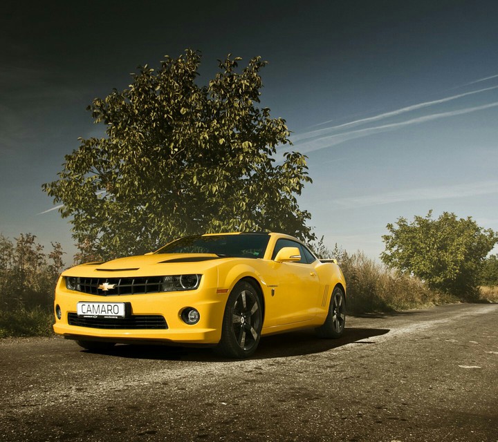 Bumblebee