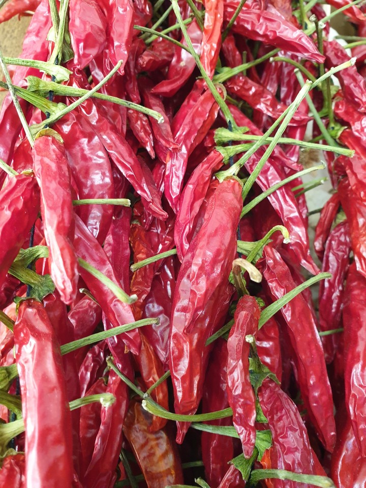Spanien Chilli Rot