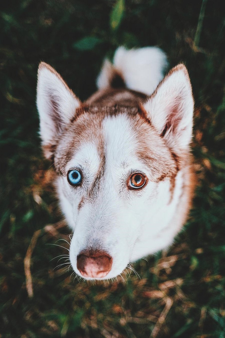 ~