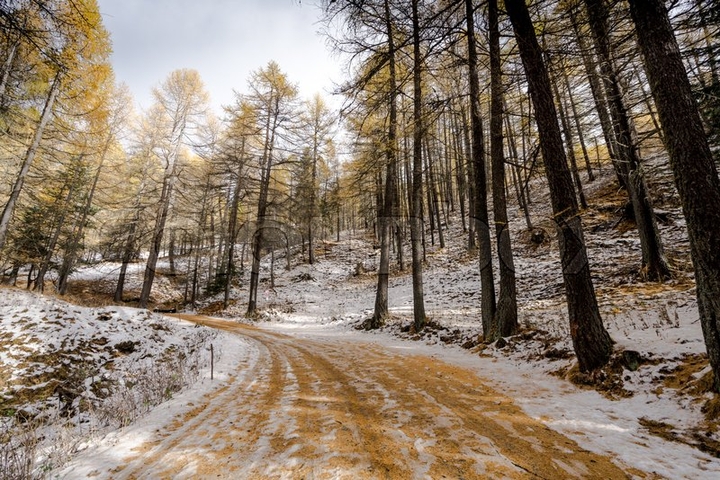 Early Winter
