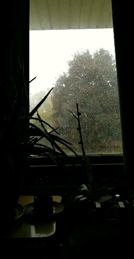 Winter is coming