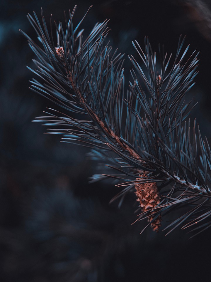 cone