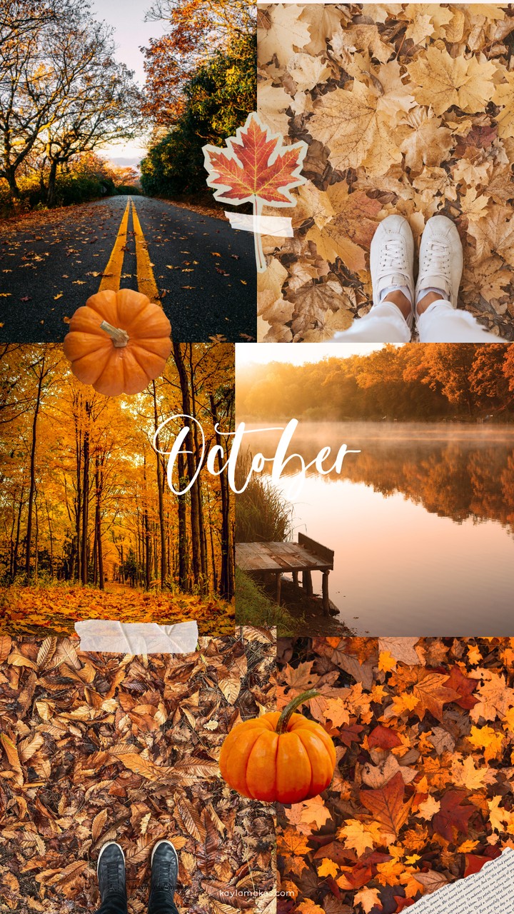 ~◇ October ◇~